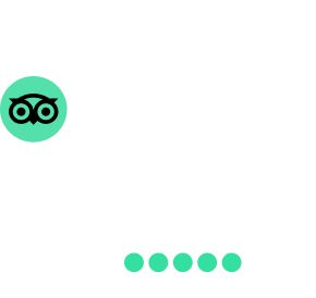 Review Tripadvisor