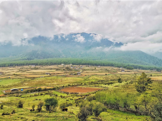 Phobjikha Valley
