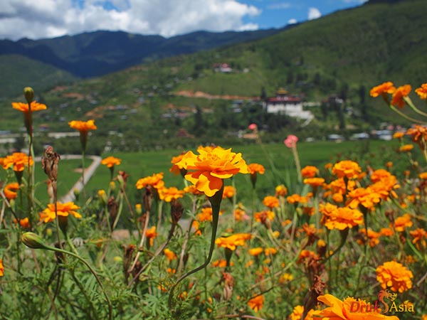 Druk Asia Summer in Bhutan