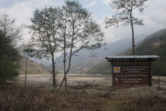 Trashi Yangtse