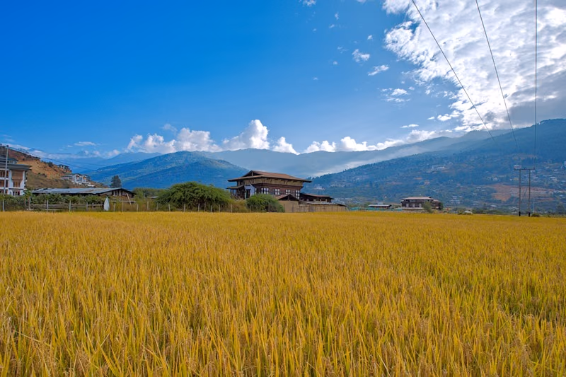 Best Time to Visit Bhutan 6