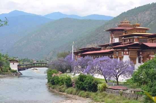 Travelling to Bhutan From Singapore 3