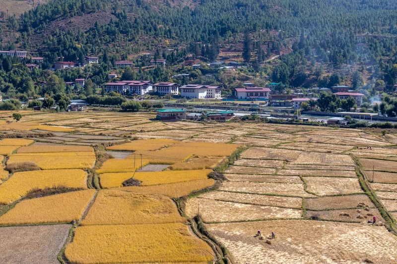 Bhutan Weather by Month 19