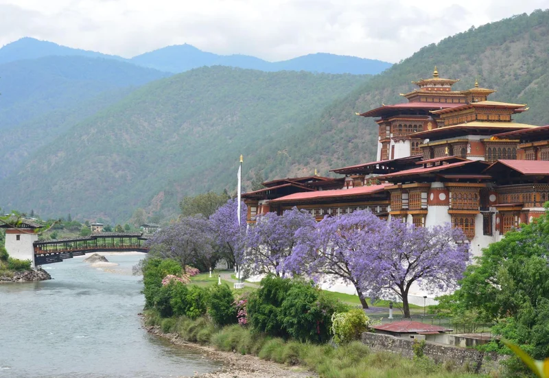 Bhutan Weather by Month 8