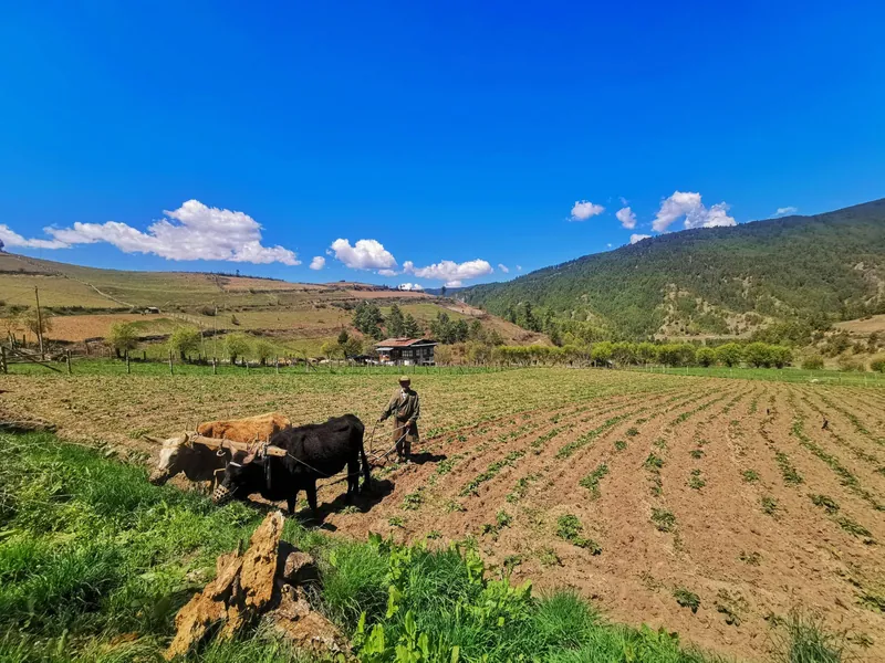 Bumthang 2