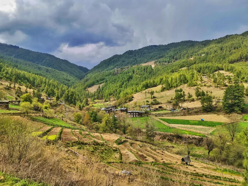 Bumthang 3