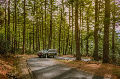 A Handy Guide to Car Rental in Bhutan: What You Need to Know 4