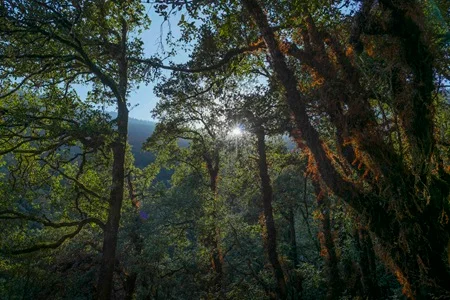 Cheri Monastery Hike 1