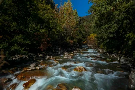 Cheri Monastery Hike 2