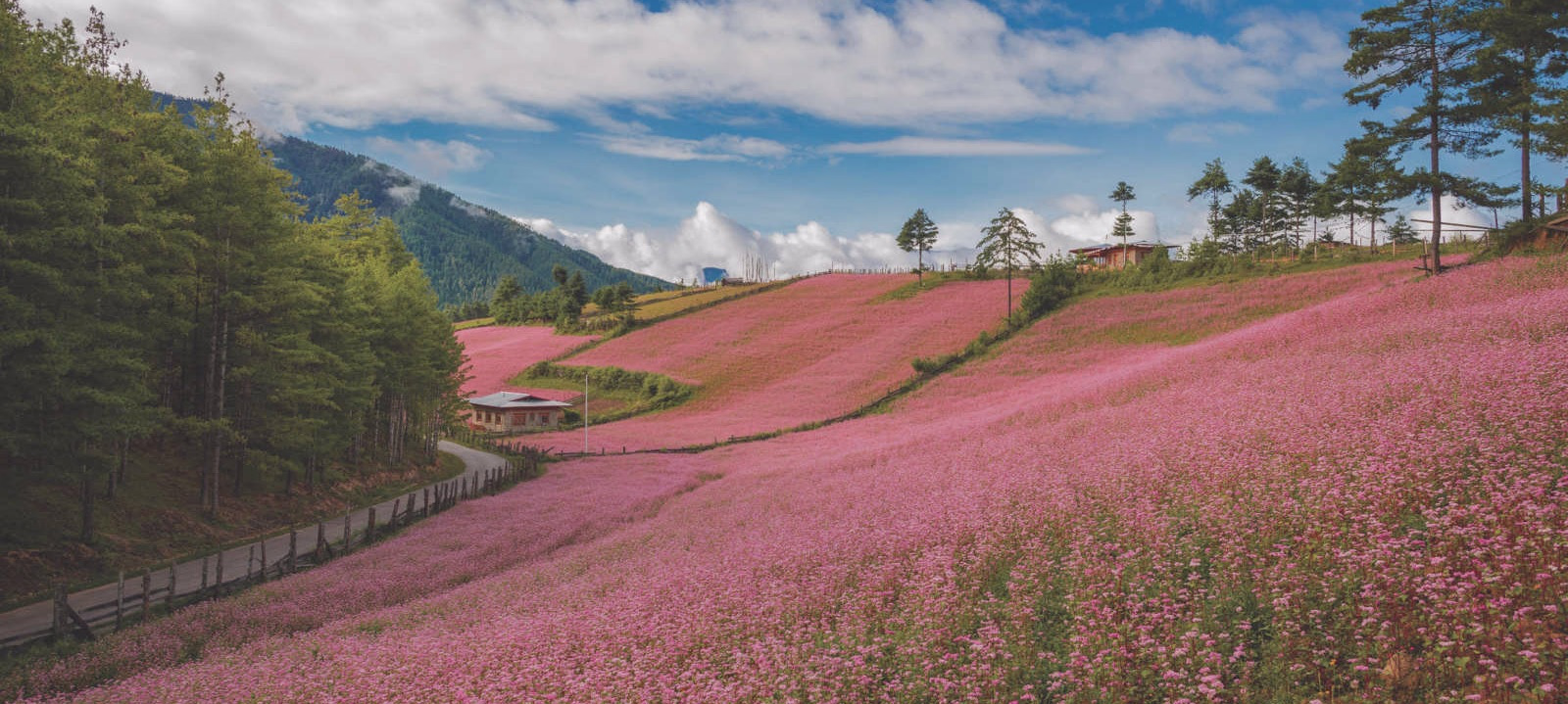 Bhutan Cultural Tours