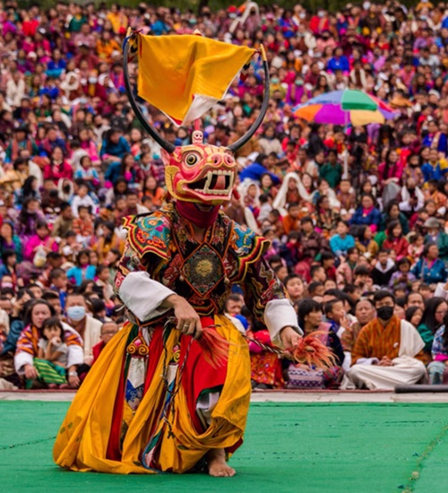 Festival Tours