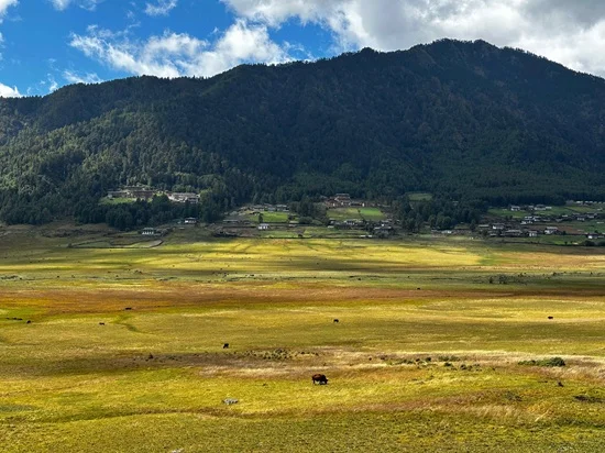 Gangtey Nature Hike 3