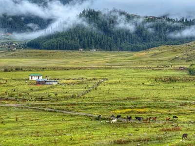 Gangtey and Phobjikha Valley
