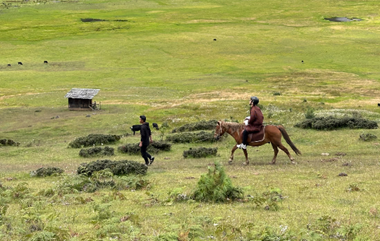 Horse Riding in Bhutan 2