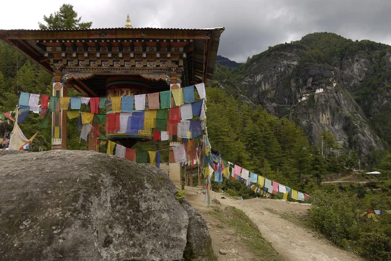 Paro 2