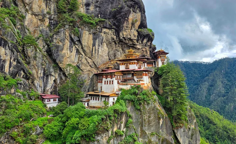 Paro 3