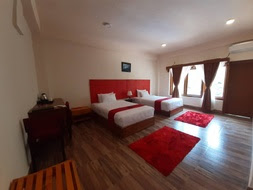 Hotel Sonamgang Room 1