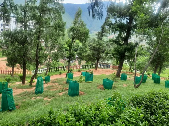 Sustainability Commitments 1