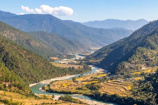 Sustainability Commitments 6