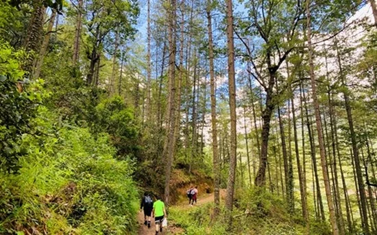 Taba–Lungtenphu Hike 1