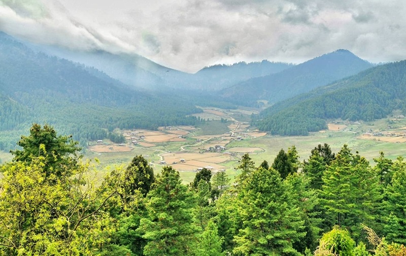 Taj Resort Phobjikha