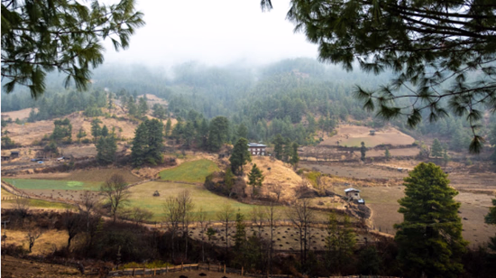 Tang Valley 1