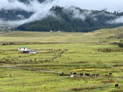 Top 5 Treks in Bhutan 9