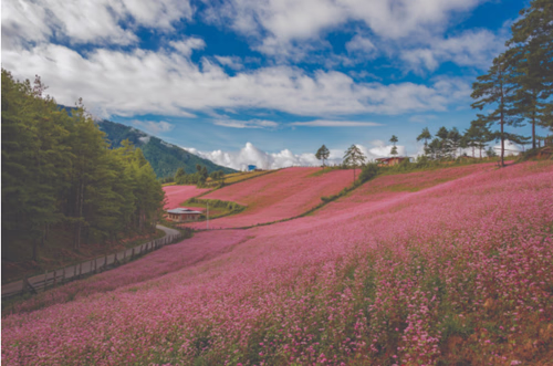 Travelling to Bhutan From Russia 2