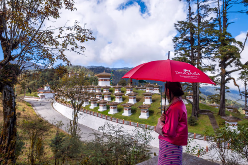 Travelling to Bhutan From Russia 6
