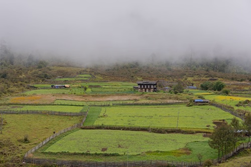 Wangdue Phodrang 6