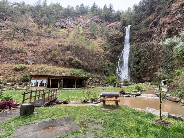 Sebrena 3